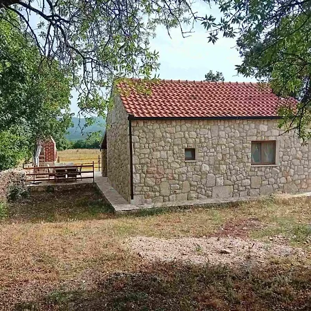 Agrotourism 